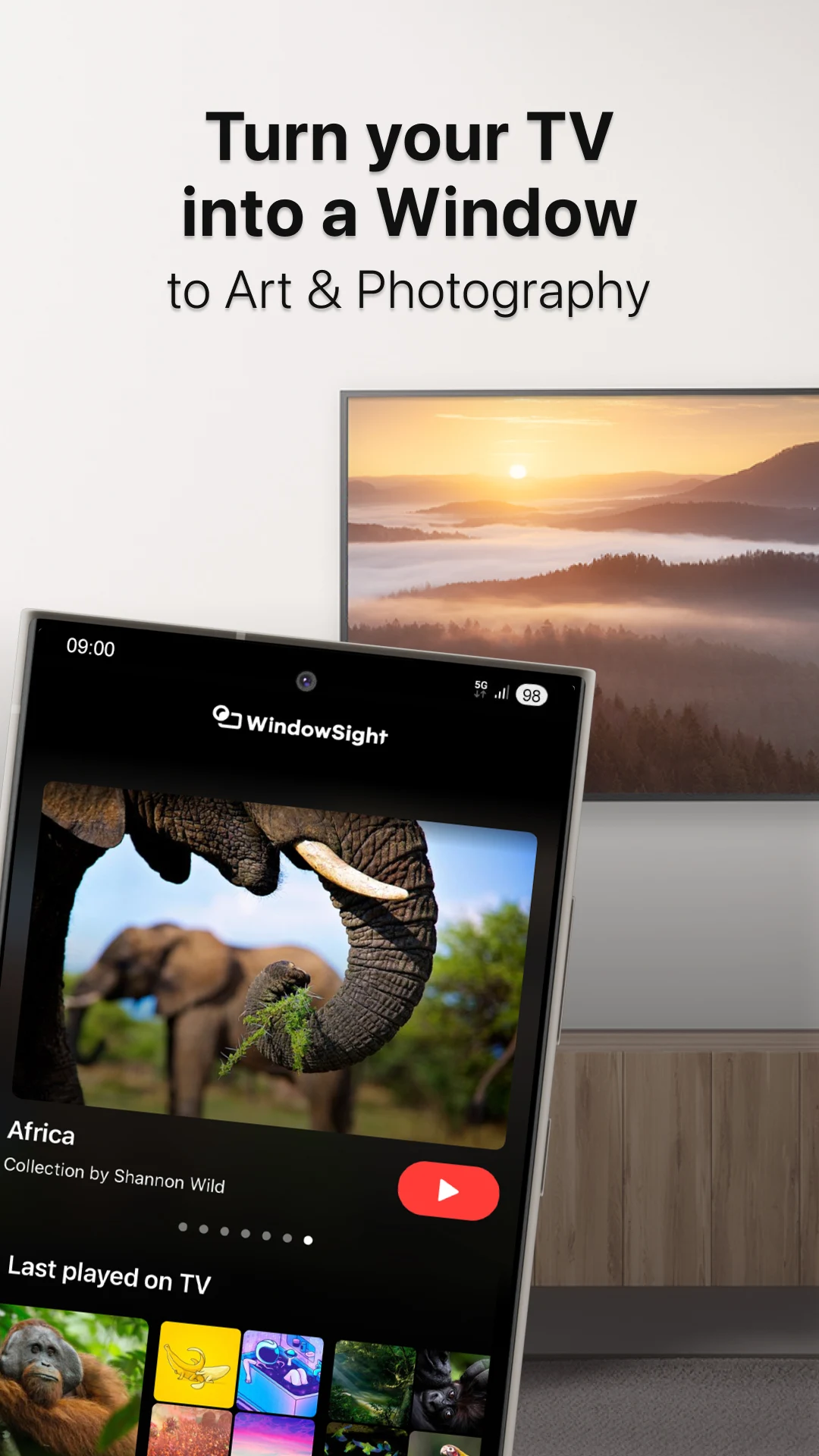 WindowSight: Art & Photography screenshot