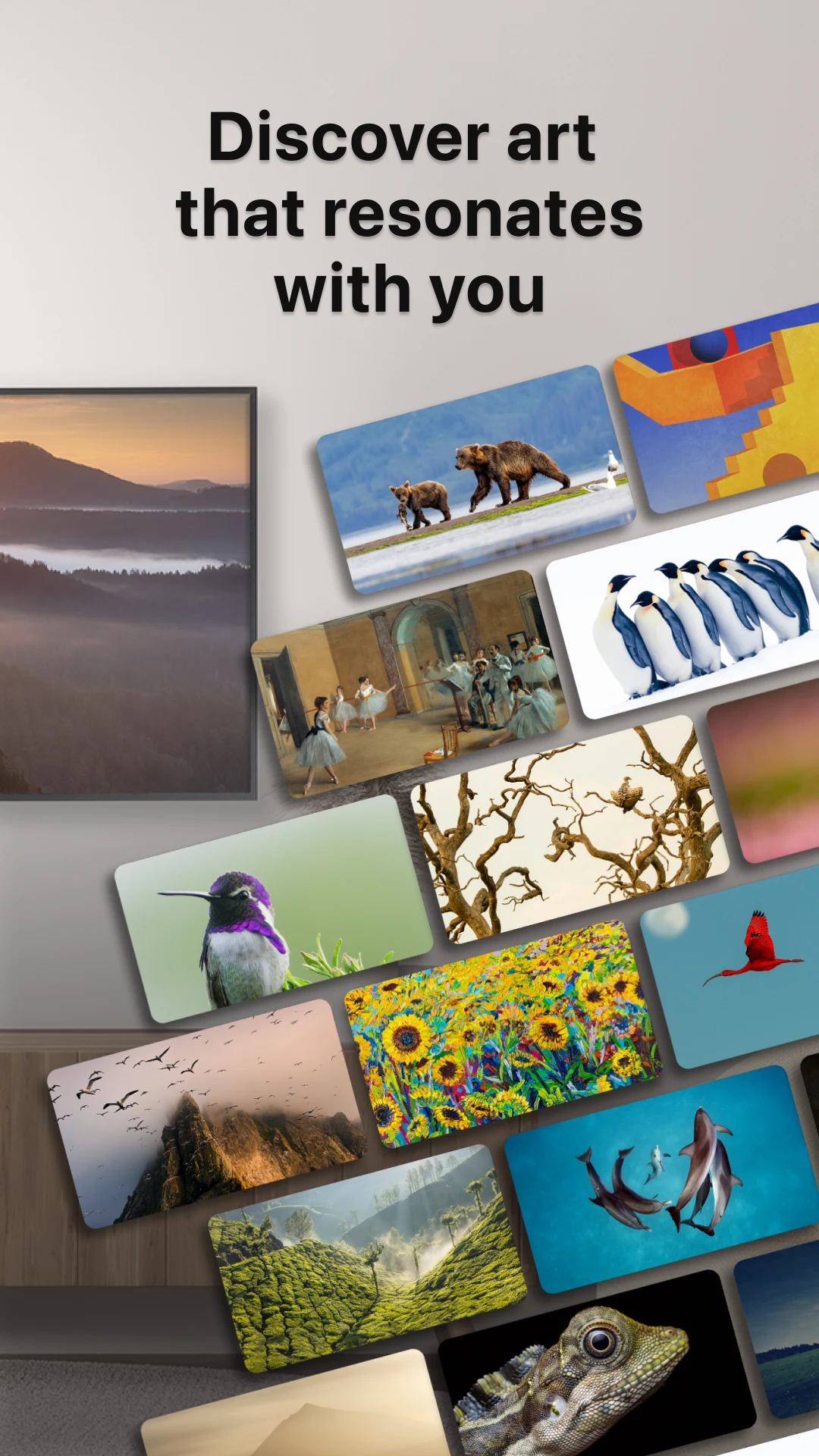 WindowSight: Art & Photography screenshot